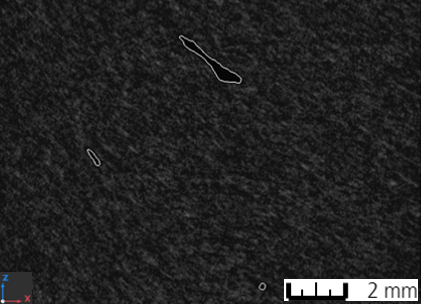 Nahaufnahme einer µ-CT-Aufnahme zur Detektion von Lufteinschlüssen (umrandet).